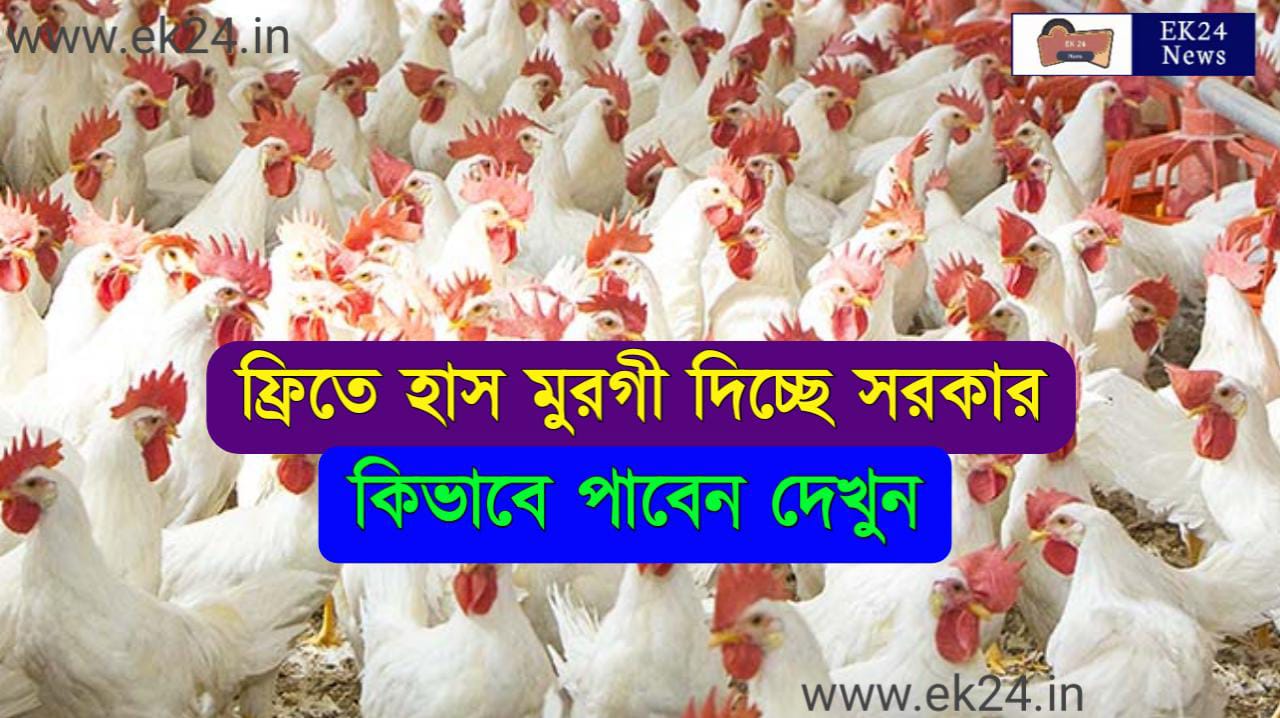 Poultry Distribution West Bengal