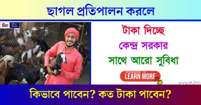 Goat Farming Business Plan (ছাগল প্রতিপালনের ব্যবসা)