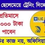 LIC Career and LIC Internship Program