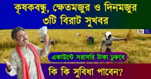 DAP Fertilizer Content Price (ফসল বীমা)