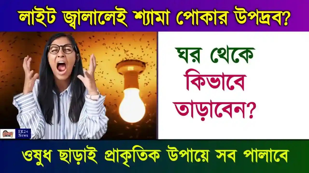 শ্যামা পোকা তাড়ানোর উপায় (Shyama poka remedies pest control)