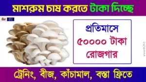 সরকারি ভর্তুকি নিয়ে মাশরুম চাষ বা Mushroom Cultivation